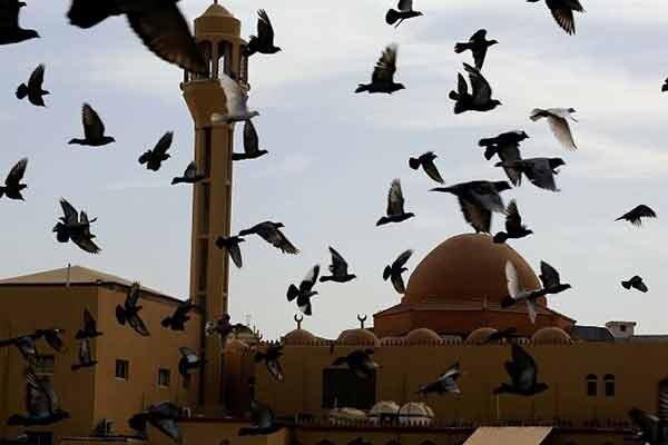 نماز عید فطر در مساجد عربستان و امارات ممنوع شد